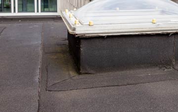 disadvantages of Raynes Park flat roofs