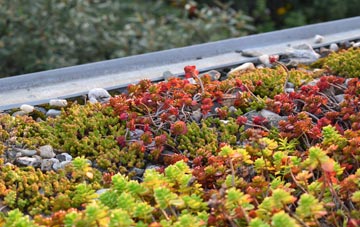 the cost of Raynes Park green roof installation