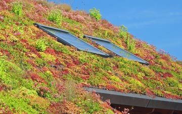 Raynes Park living roof systems