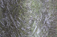 Raynes Park fibreglass roof work